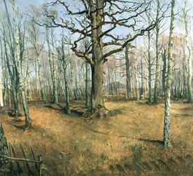 Wermsdorfer Wald